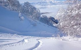 ホテル Nozawa Dream Central  2*
