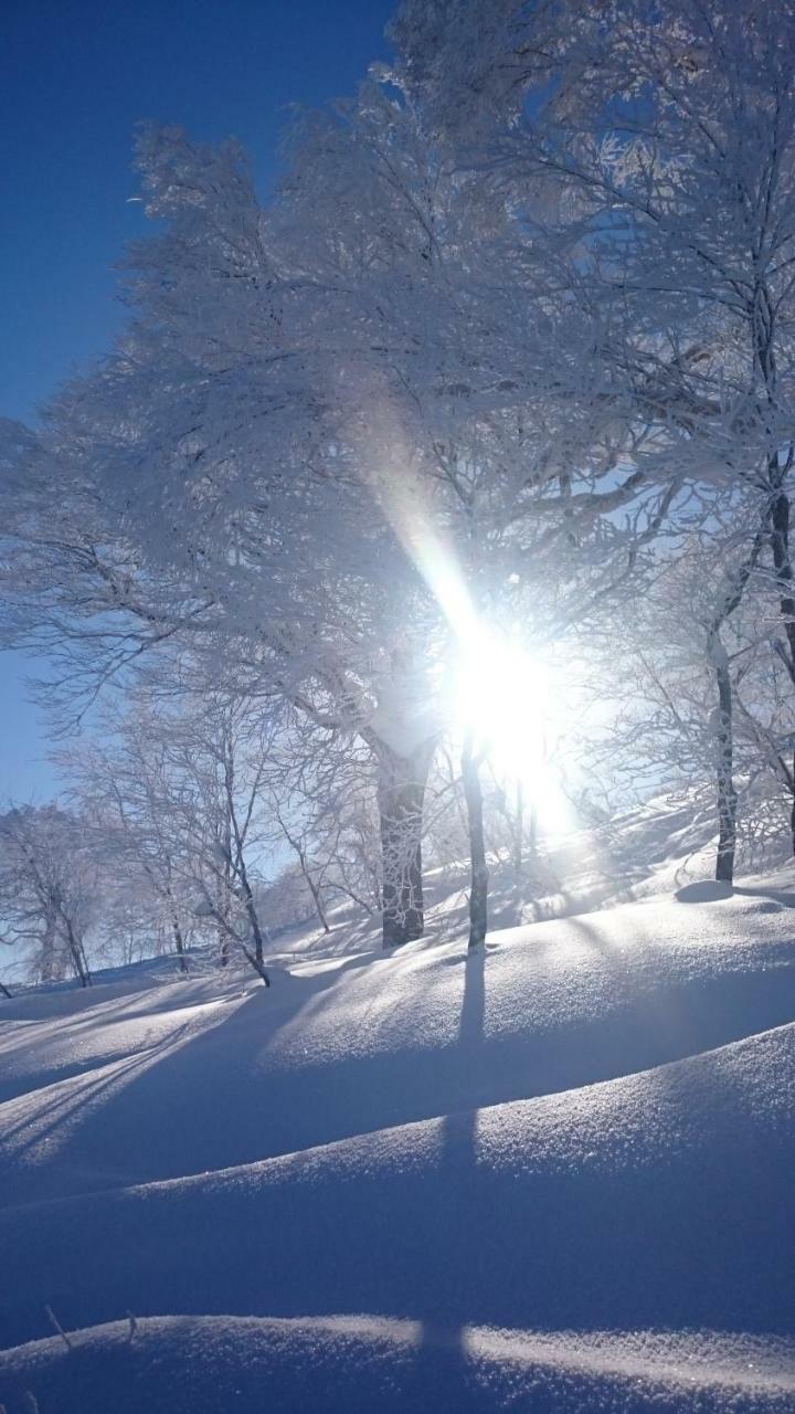 Nozawa Dream Central エクステリア 写真
