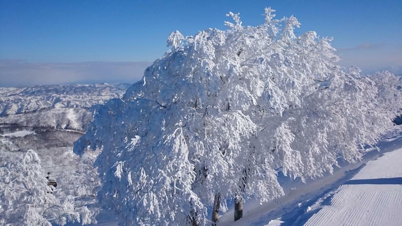 Nozawa Dream Central エクステリア 写真