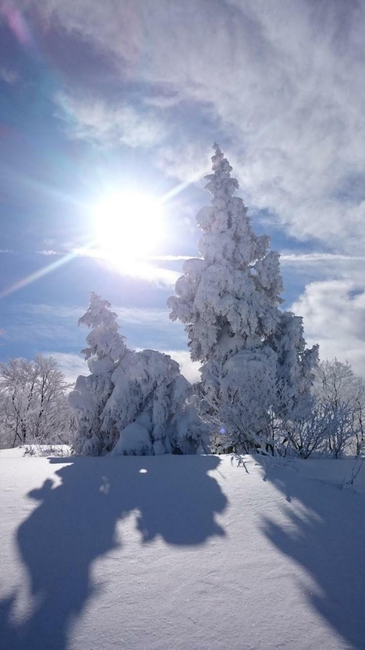 Nozawa Dream Central エクステリア 写真
