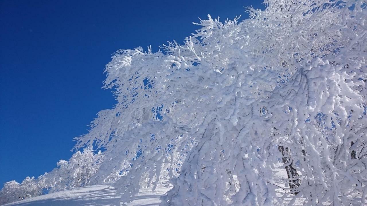 Nozawa Dream Central エクステリア 写真